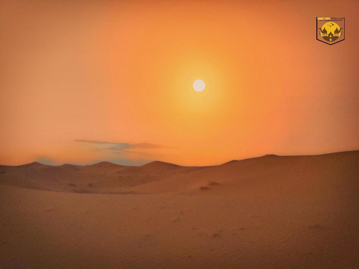 ホテル Camel Trips Luxury Camp メルズーガ エクステリア 写真